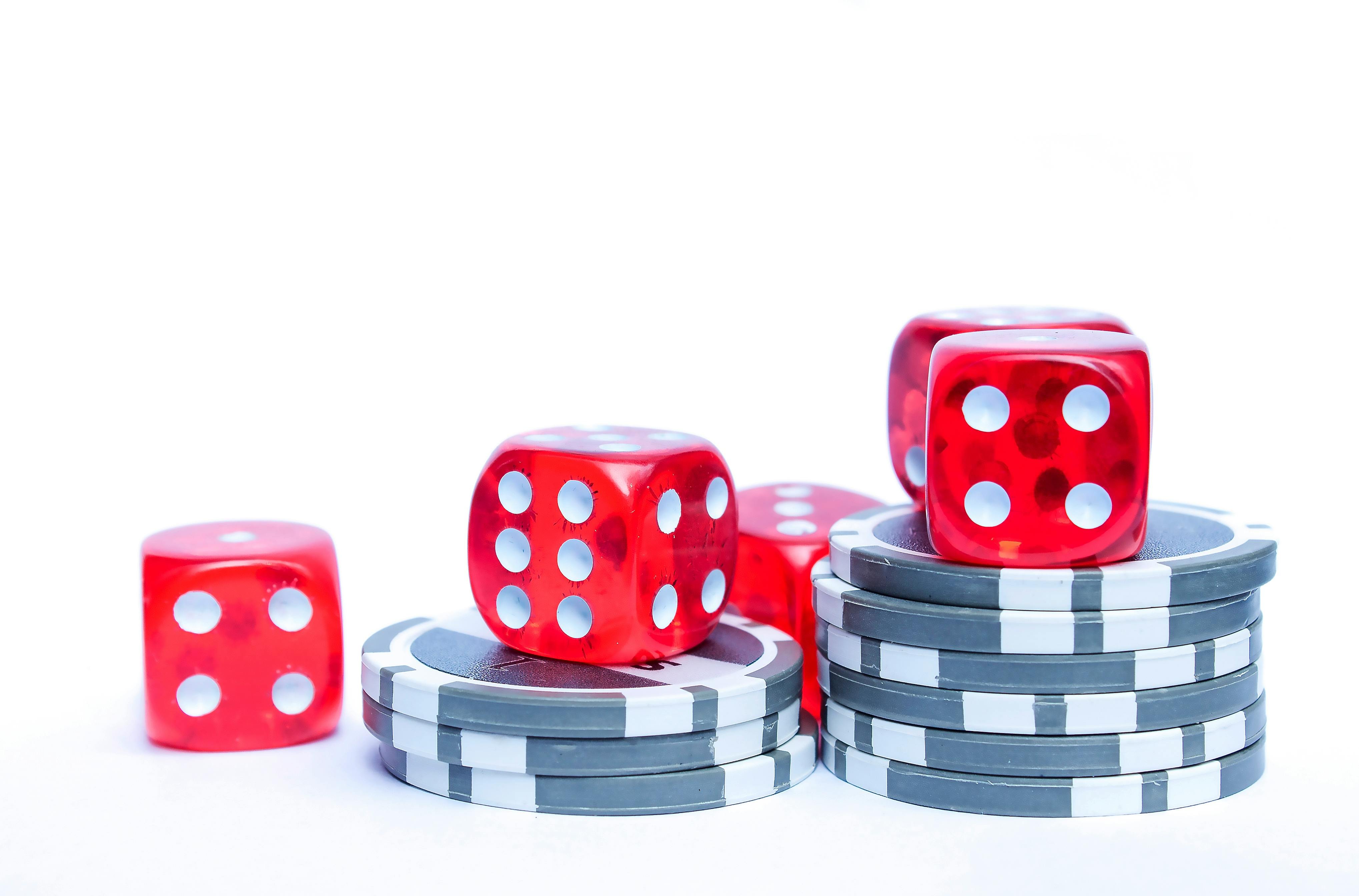 bajee casino বিঙ্গো গেম মোবাইলে খেলা হচ্ছে